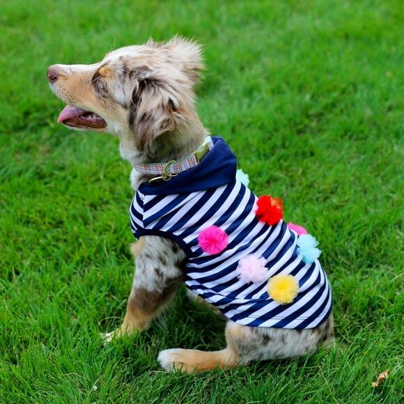 Packed Party Striped Dog
 Hoodie, Medium - Picture 4 of 4